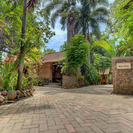 Bata Merah Homestay Бануванги Екстериор снимка