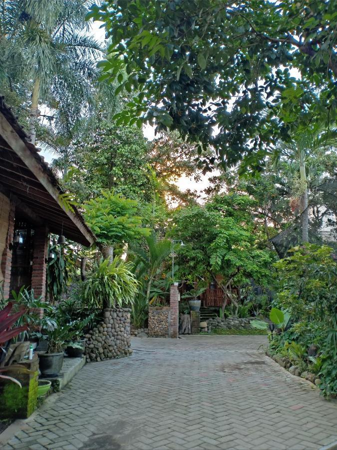 Bata Merah Homestay Бануванги Екстериор снимка