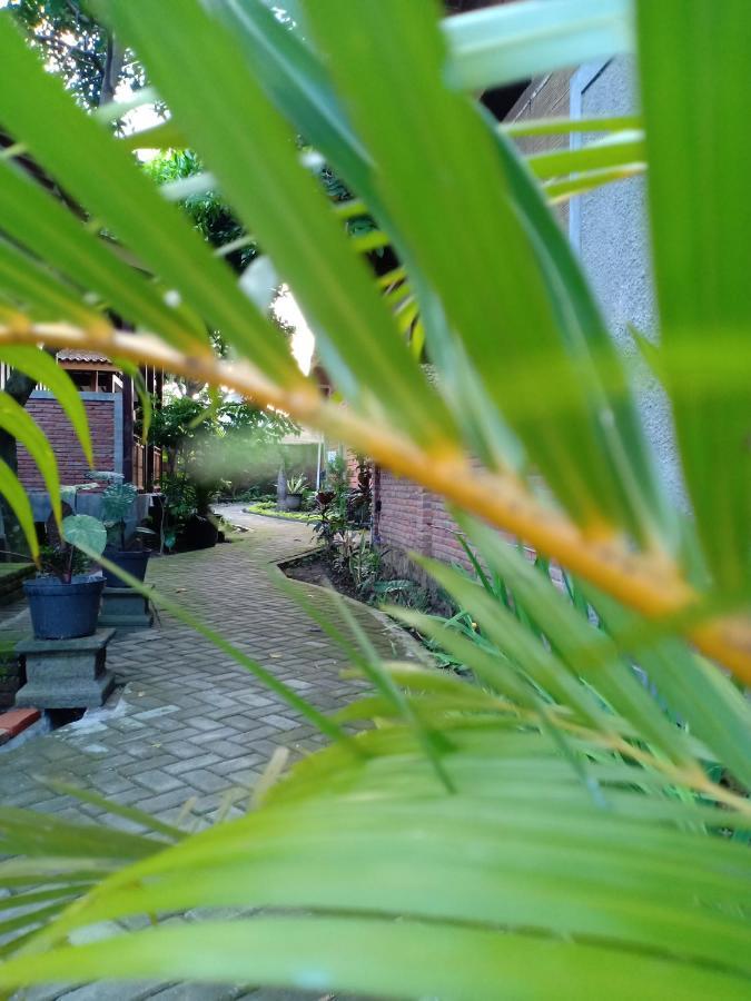 Bata Merah Homestay Бануванги Екстериор снимка