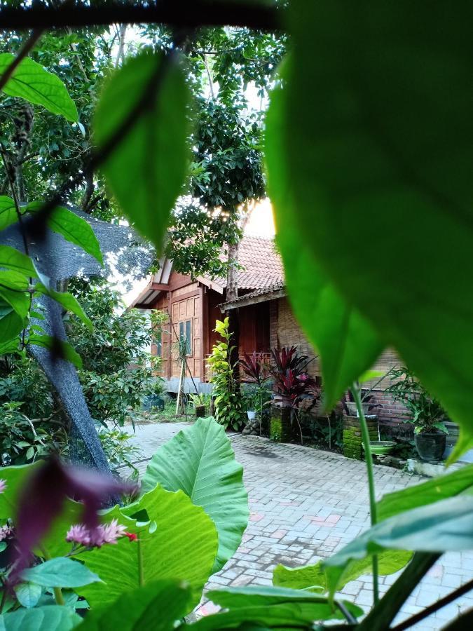 Bata Merah Homestay Бануванги Екстериор снимка