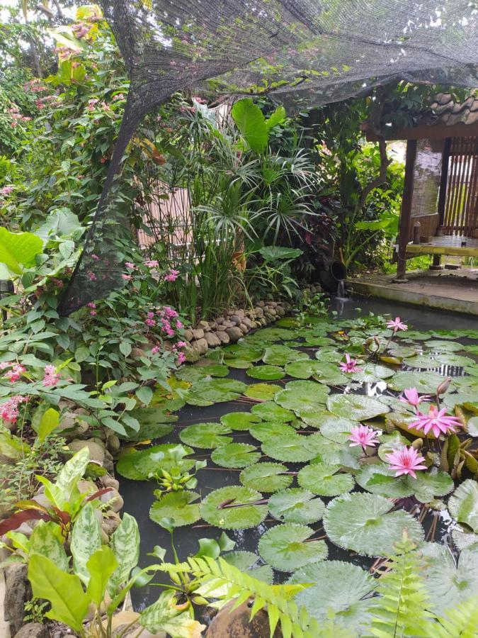 Bata Merah Homestay Бануванги Екстериор снимка