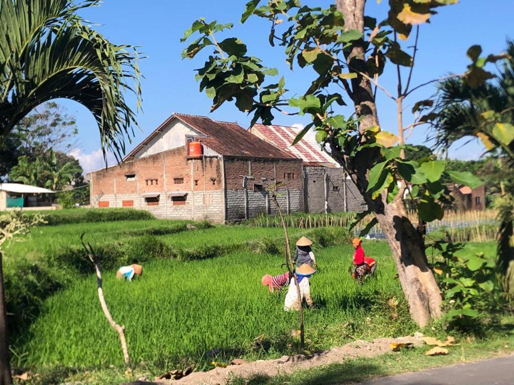 Bata Merah Homestay Бануванги Екстериор снимка
